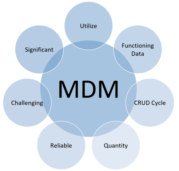 Master Data Management MDM - Vera Teknoloji